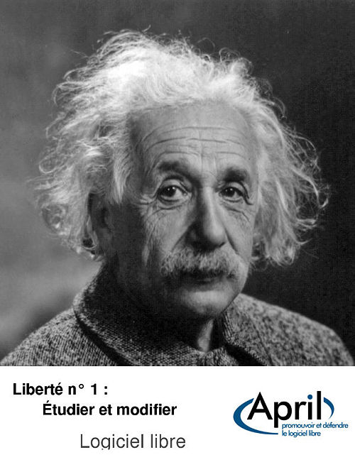 Liberte 1 Albert Einstein Head.jpg